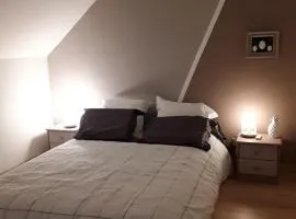 Maison bois
