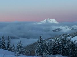 Avoriaz le M1212，位于阿沃里亚兹的滑雪度假村