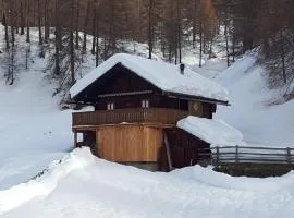 Ferienhütte Ortnerkasa