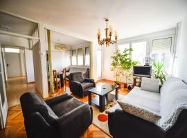 Apartman Centar Lux，位于皮罗特的酒店