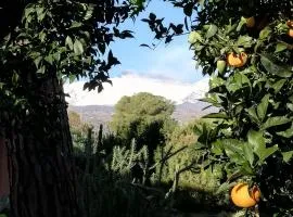 ETNA MARE Jonio