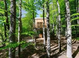 Treehouse Lika1