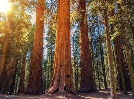 The Sequoia Hut!，位于三河城的度假屋