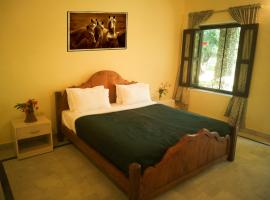 Ideal Lake View Resort，位于拉那克普的酒店