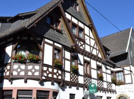 Hotel Kölner Hof Garni - Eifel，位于布兰肯海姆的酒店
