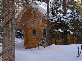 Bois Rond Expérience