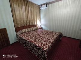 银色宾馆，位于塔什干的酒店