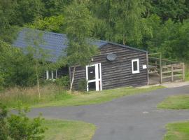 Holiday Lodge in Beautiful Mid Wales Rolling Hills，位于兰德林多德威尔斯的酒店