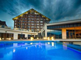 F&B Spa Resort (ex. Fomich Hotel)，位于布克维Polyanitsa的酒店