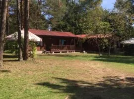Forest Villa- domki