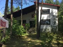 Forest Villa