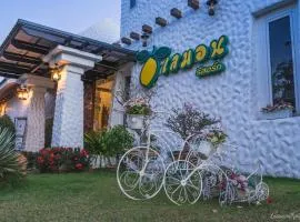 柠檬度假酒店