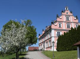 Hotel Schloss Freudental，位于阿伦斯巴赫的酒店