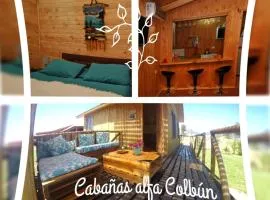 Cabañas Alfa Colbun Machicura