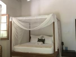 Dar Diwani Boutique Heritage B&B，位于莫桑比克岛的酒店