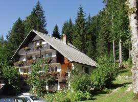 Accommodation Destina, LAKE BOHINJ，位于博希尼的家庭/亲子酒店