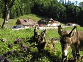 Ferienwohnung Hochsteinalm，位于特劳恩基兴的酒店