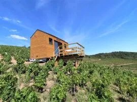 Tiny house au cœur du vignoble beaujolais