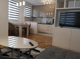 Apartman Gaga 1