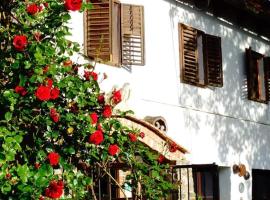 LA Amadeus & Monica，位于Miniş的酒店