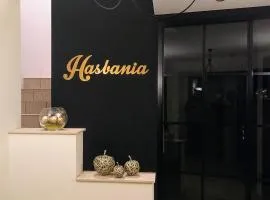 Hasbania Vakantiewoning