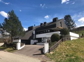 Luxus-Landhaus im Schwarzwald/Baiersbronn mit Pool，位于拜尔斯布龙的酒店