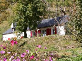 Comfortable farm house Petit Barzun, in the Parc National Pyrenees，位于巴里吉斯的度假屋