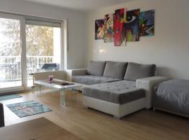 KEHL Center Schöne 2 Zimmer Wohnung mit Terrasse 60M2，位于莱茵河畔凯尔的酒店