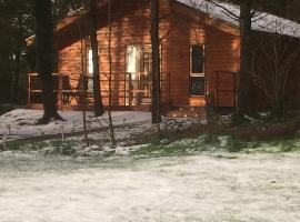 Butterfly cabin，位于利默里克的酒店