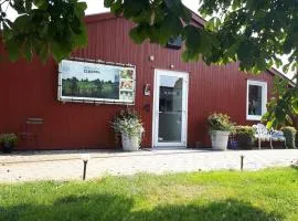 Bed & Breakfast El Manso