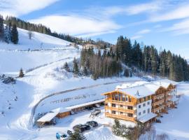 Skylodge Alpine Homes，位于恩斯塔尔豪斯的酒店