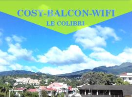 Le Colibri, vue exceptionnelle sur la Soufrière，位于巴斯特尔的公寓