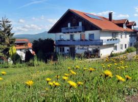 Gästehaus am Goldberg，位于Riedlhütte的旅馆