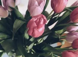 乐36号住宿加早餐酒店