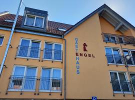 Hotel Gasthof zum Engel - Gästehaus，位于金策尔绍的酒店