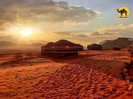 Wadi Rum Dew