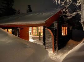 Bjerkely, Sjusjøen，位于斯朱森的酒店