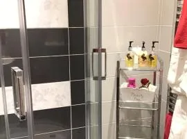 卡罗维耶酒店