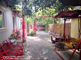 Casa de vacanta Alexoiu 2 Mai，位于多亚马伊的酒店