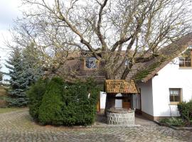 Ein Bett im Kornfeld - Haus Weitblick - mit Innenpool，位于Schönfeld的别墅