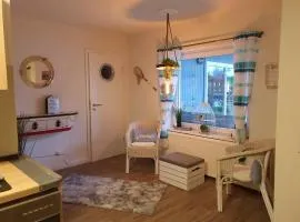 Große Wohnung mit Terrasse und Grill