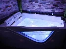 Appartement Tropical et JACUZZI Balnéothérapie Draveil