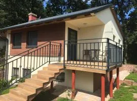 Balaton Wellness Tom Cat nyaraló 1 wellness és 1 gyermekbarát apartmannal，位于Kővágóörs的乡村别墅