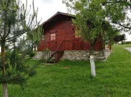 Pensiunea Gernik 100