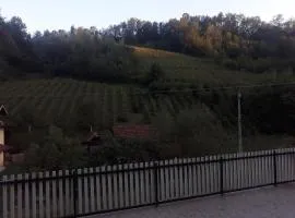 Guesthouse Top Hill