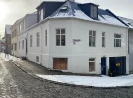 Perfect Apartment in the Heart of Reykjavík