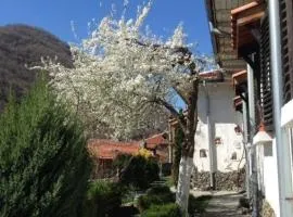 Къща за гости Спасителна