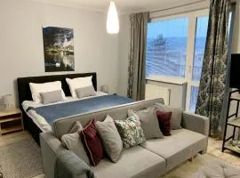 The Elegant Luxury Apartment - Boru