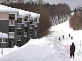 Ski-in, ski-out chaleureux studio loft au pied des pistes de ski，位于斯托纳姆斯托纳姆野营地附近的酒店