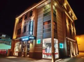 尼科格里M4酒店